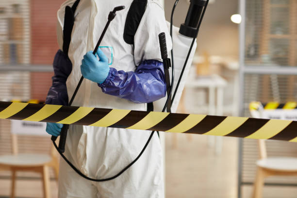 Professional Hoarding Cleanup technician working in Thrall, TX